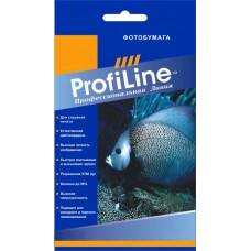 Фотобумага магнитная глянцевая 640г/м2, А4, 1л, 4800 dpi ProfiLine